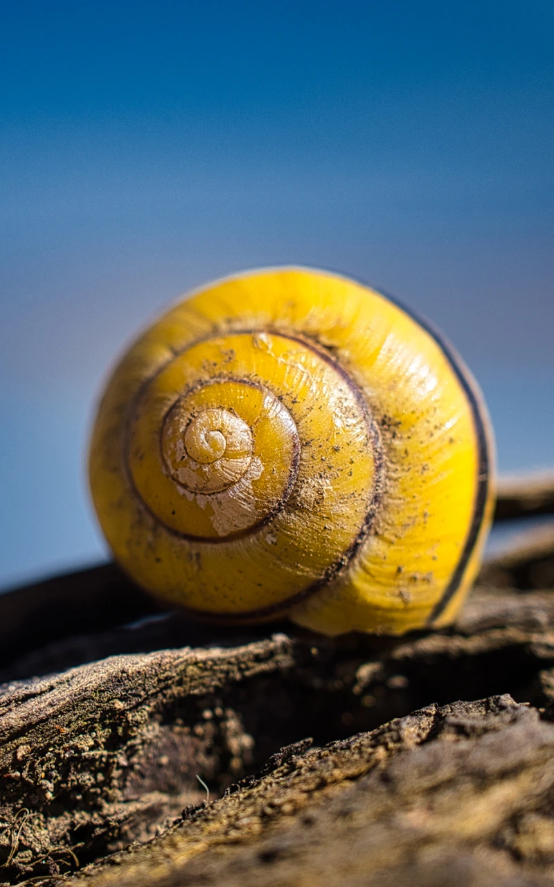 AIがB2B SEOを再定義する：検索可視性の新たな戦略プレイブック