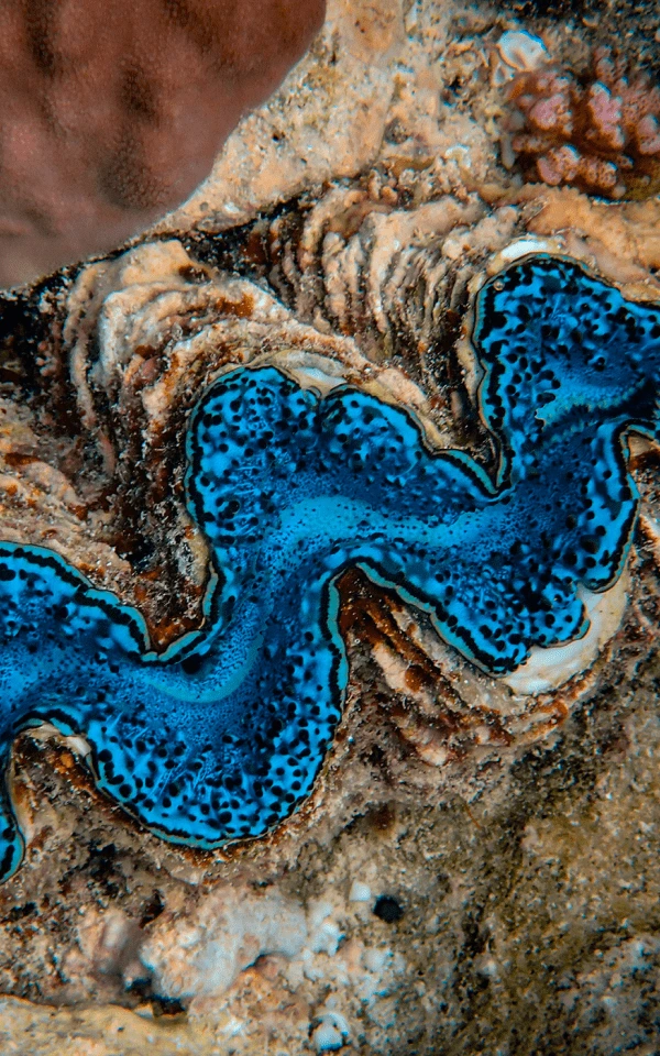 AIを活用したメールマーケティングのガイド