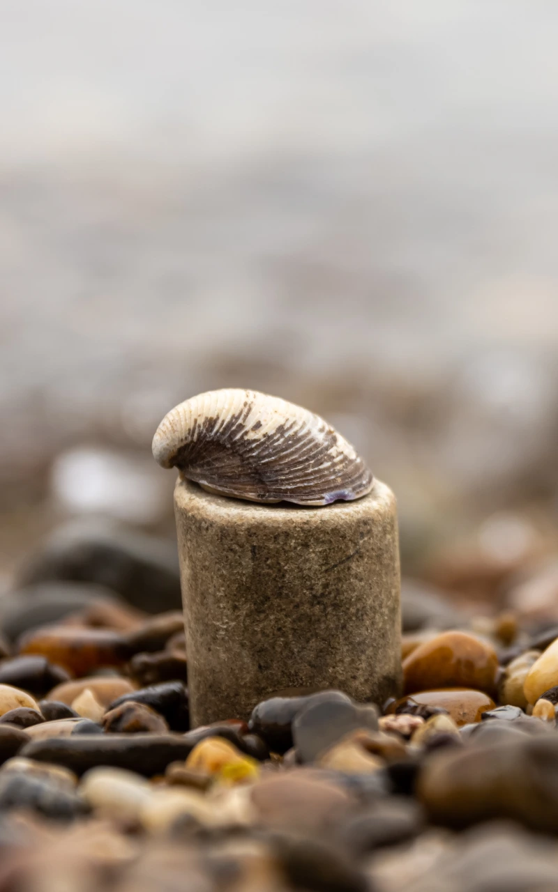 生成エンジン最適化（GEO）：AIに選ばれるコンテンツ