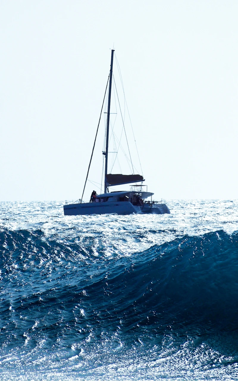 偉大なるAIのパラドックス: なぜ広範な普及はB2Bマーケティングに戦略的価値を提供しないのか