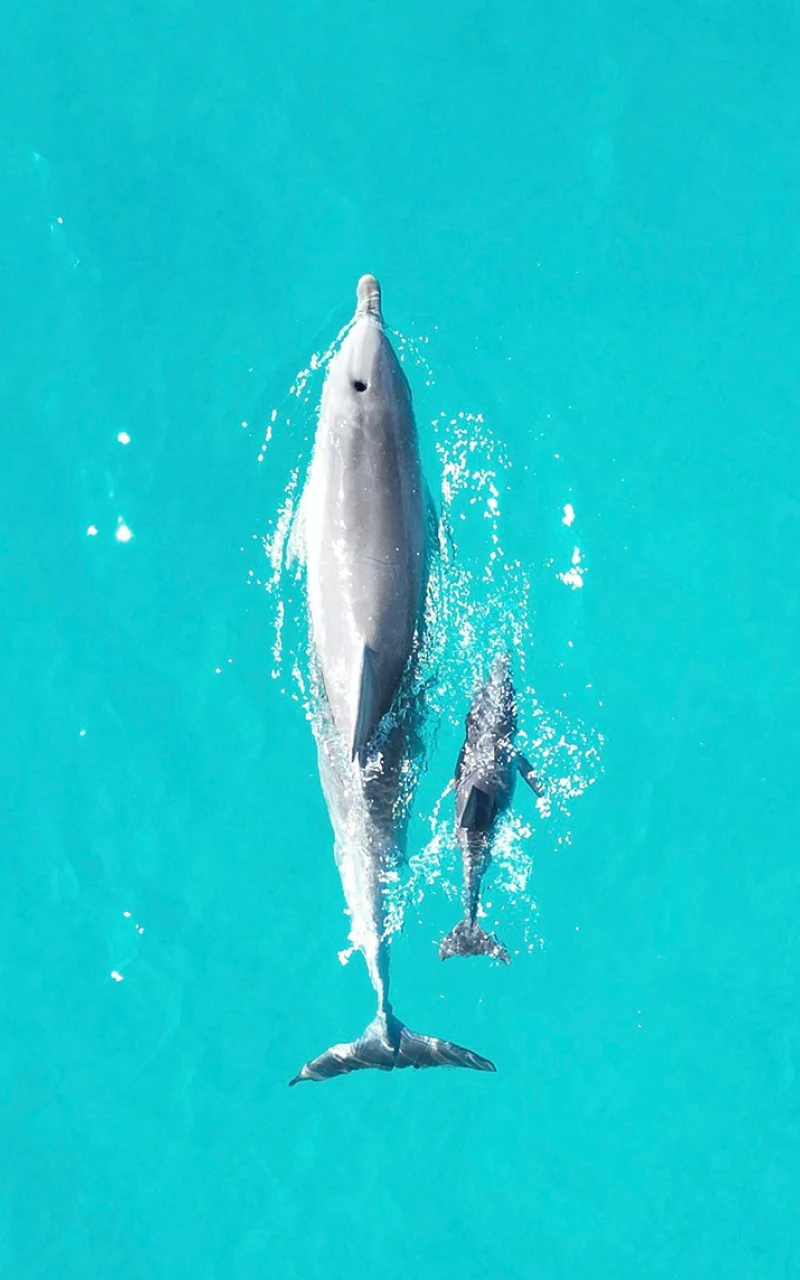 あなたのB2Bオーガニックソーシャル戦略はいまやAI戦略です