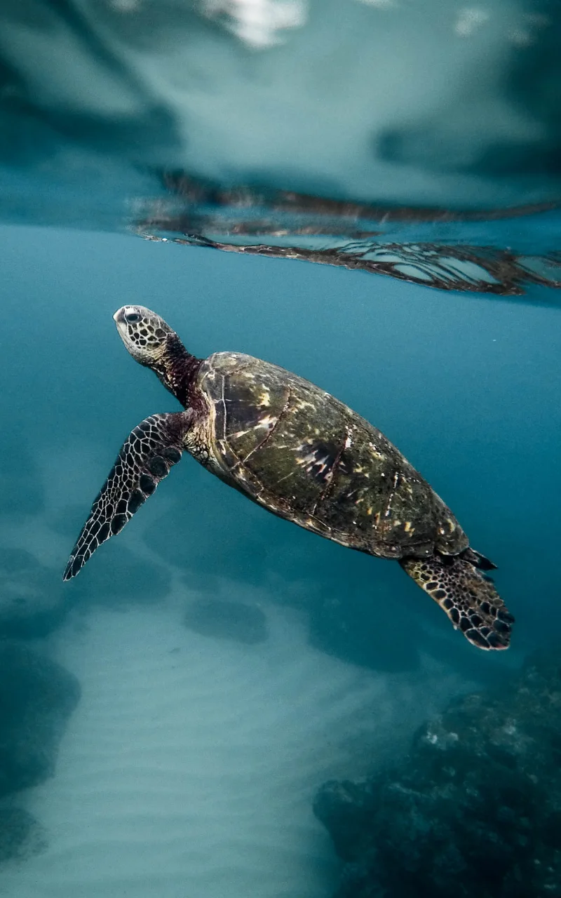 2026年のB2Bマーケティング：実際に何が変わるのか、そして何が変わらないのか